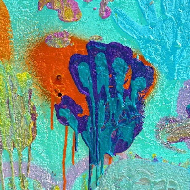 20479581_10213913872512026_929419794038178011_n